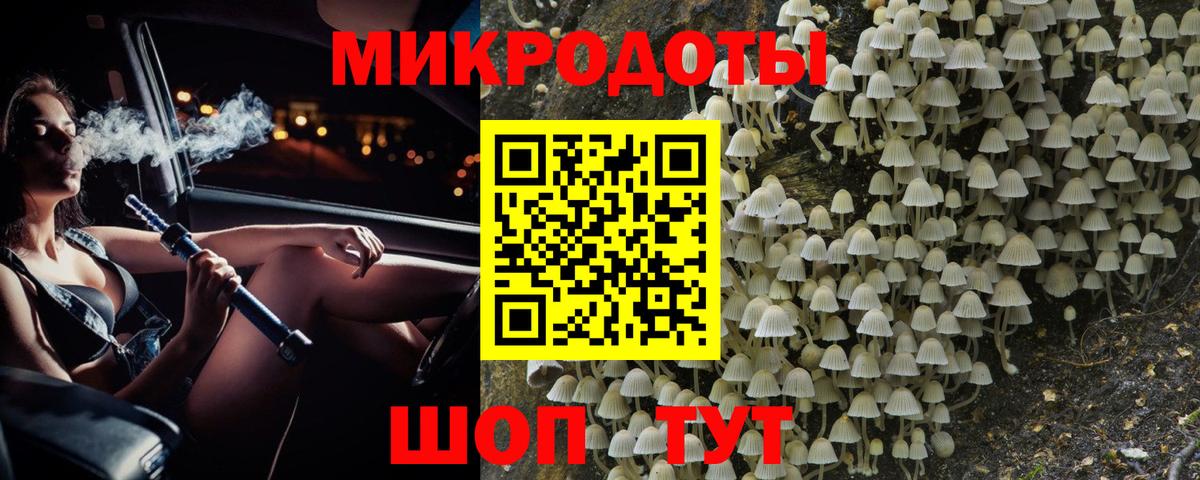 Галлюциногенные грибы Psilocybine cubensis Гусь-Хрустальный